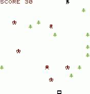Ski Run